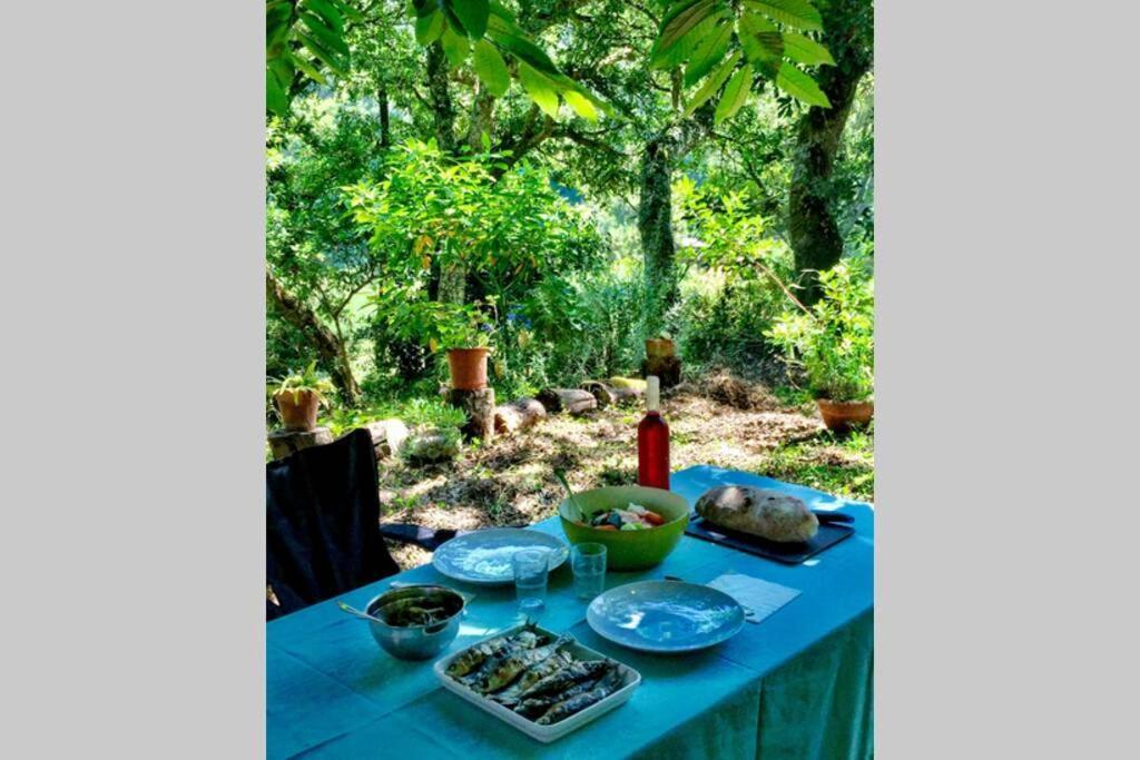 Quinta Biologica, Com Vista, Na Serra De Sintra Ngoại thất bức ảnh