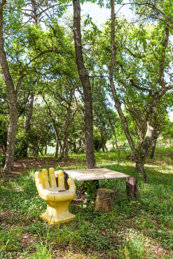 Quinta Biologica, Com Vista, Na Serra De Sintra Ngoại thất bức ảnh