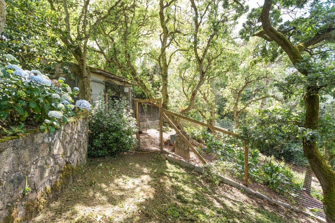 Quinta Biologica, Com Vista, Na Serra De Sintra Ngoại thất bức ảnh