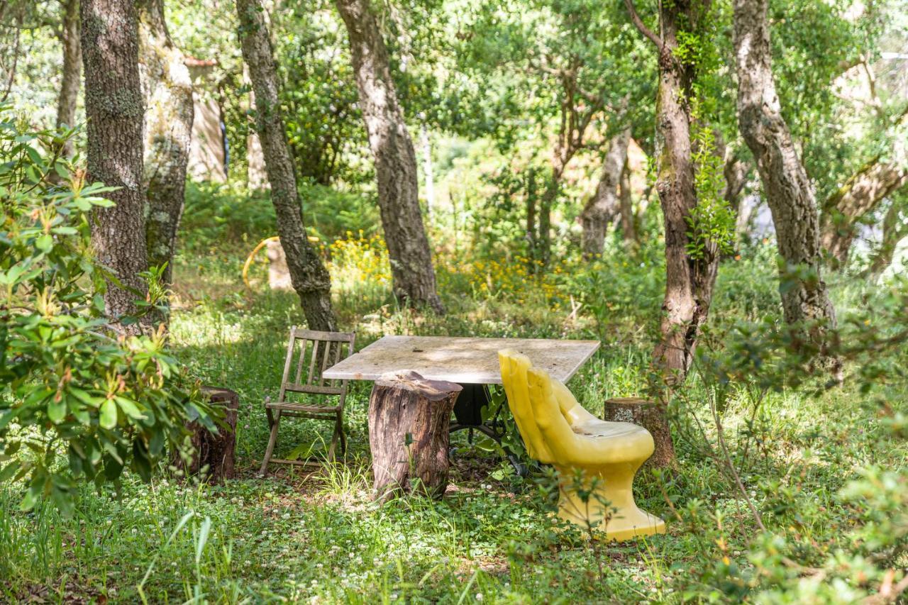 Quinta Biologica, Com Vista, Na Serra De Sintra Ngoại thất bức ảnh